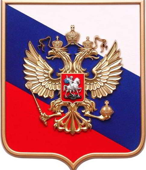 Что такое скейтбординг? Что за вид спорта?
