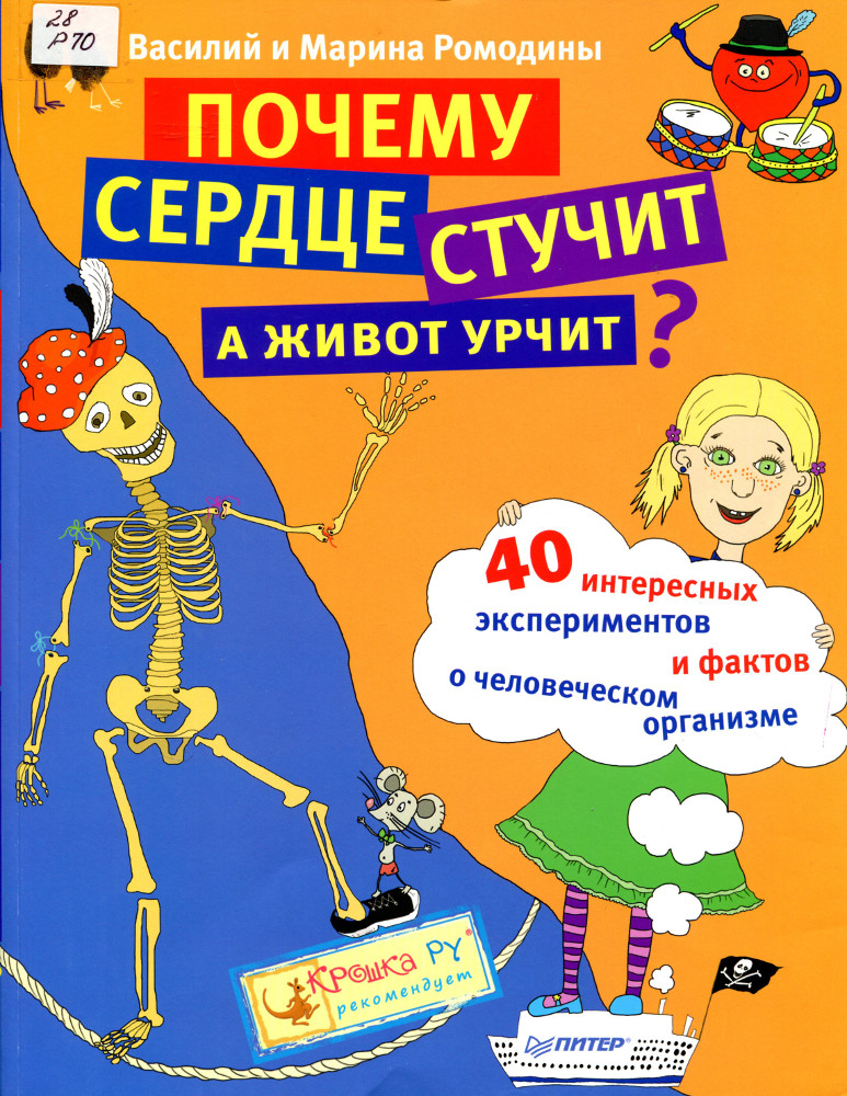 Почему сердце стучит, а живот урчит?