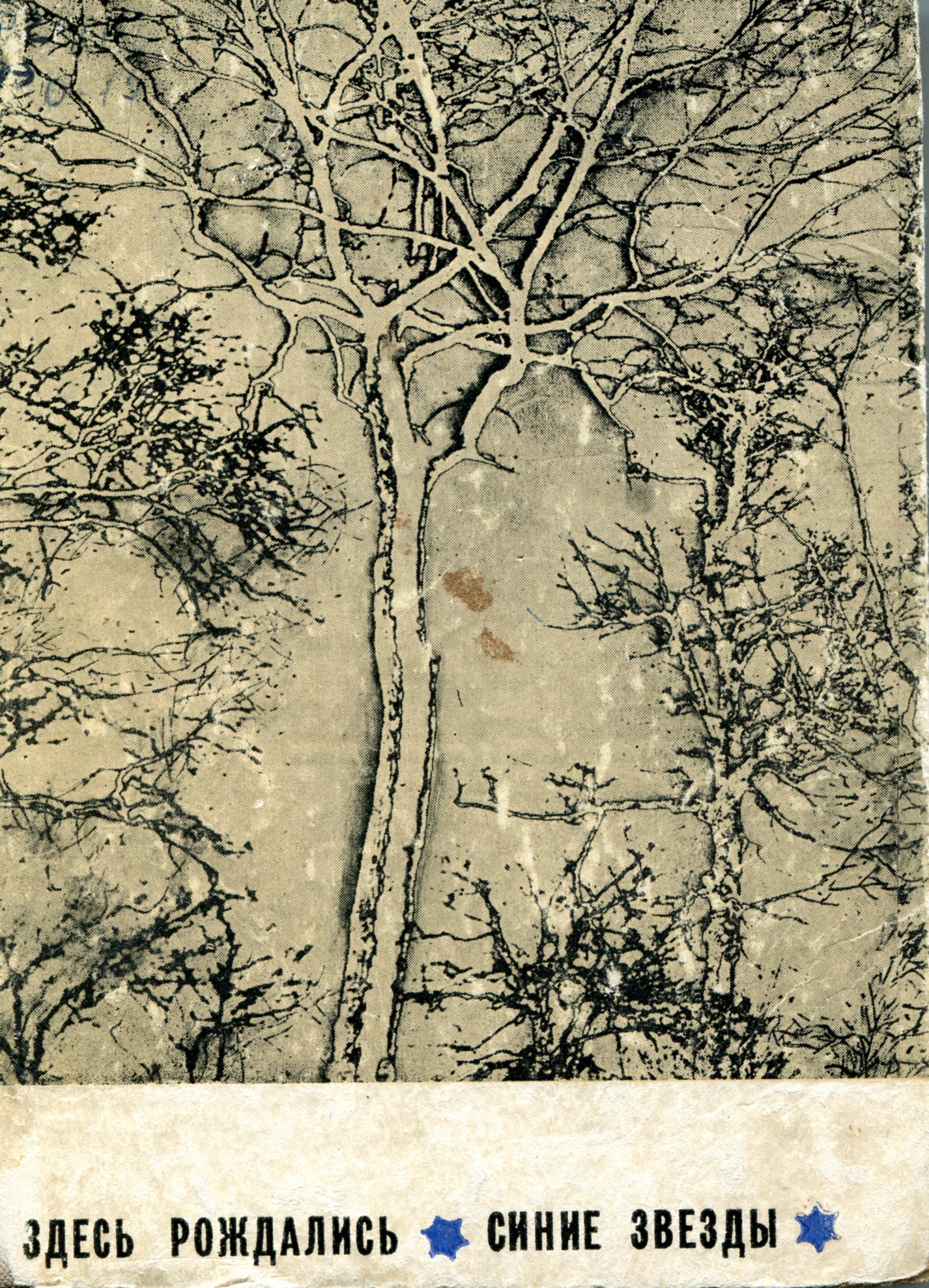 Здесь рождались синие звёзды : очерки