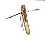 dwornik