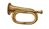 dwornik